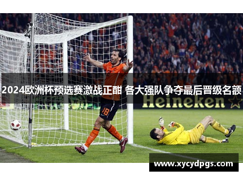 2024欧洲杯预选赛激战正酣 各大强队争夺最后晋级名额