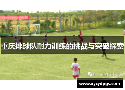 重庆排球队耐力训练的挑战与突破探索