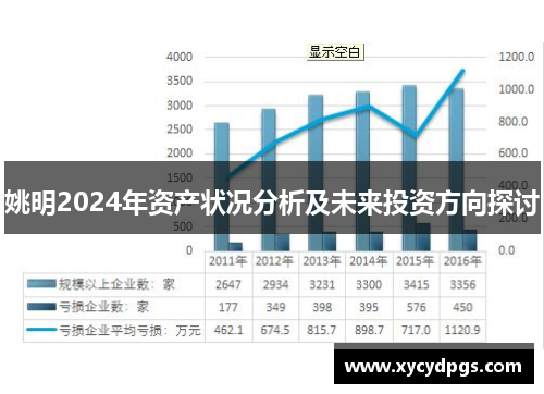 姚明2024年资产状况分析及未来投资方向探讨