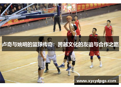 卢奇与姚明的篮球传奇：跨越文化的友谊与合作之路